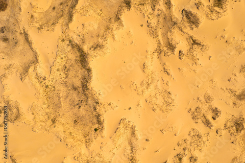 Aerial top down view of yellow desert sand dunes with green trees