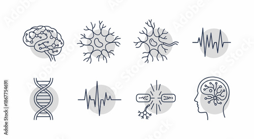 Illustrative depiction of brain, neurons, and neurological activity.