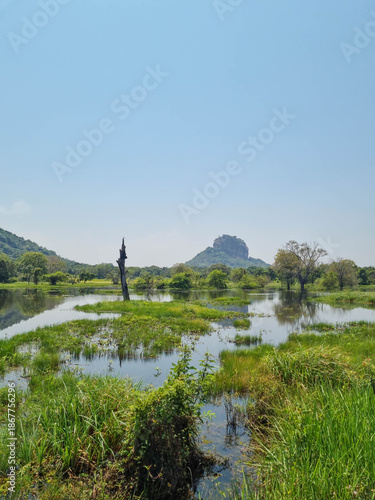 Iconic Sigiriya Rock surrounded by lush greenery. Sri Lanka.