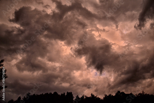 ramatic storm sky with heavy dark clouds above a forest silhouette, where fir trees and tall pines appear in black contrast, creating a moody and powerful natural atmosphere.