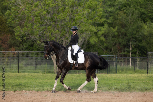 Dressage Equestrian riding black tobiano horse 