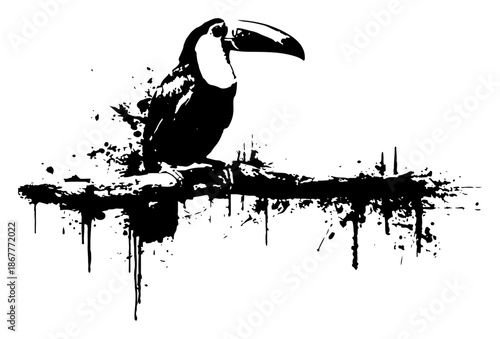 Artistic black and white ink illustration of a toucan bird on a branch