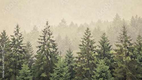 Misty forest landscape with dense canopy of evergreen coniferous trees against a warm beige background.