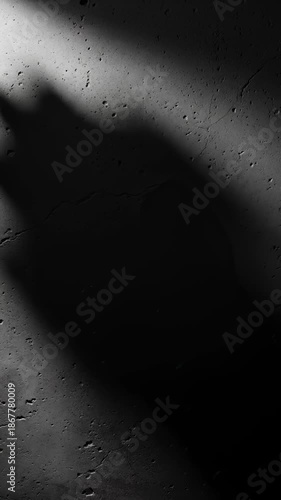 Shadow of Leaves Moving on a Concrete Wall