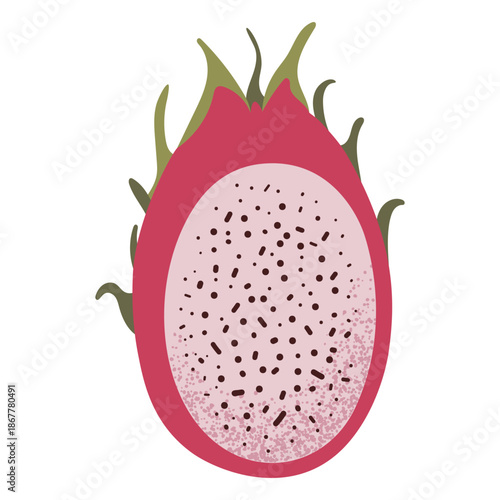 Fresh pitaya fruit cut in halfSimple dragon fruit slice illustration. Fresh pitaya fruit cut in half. Healthy food concept. Minimal flat vector design for interior, poster, cover, banner. Isolated on 
