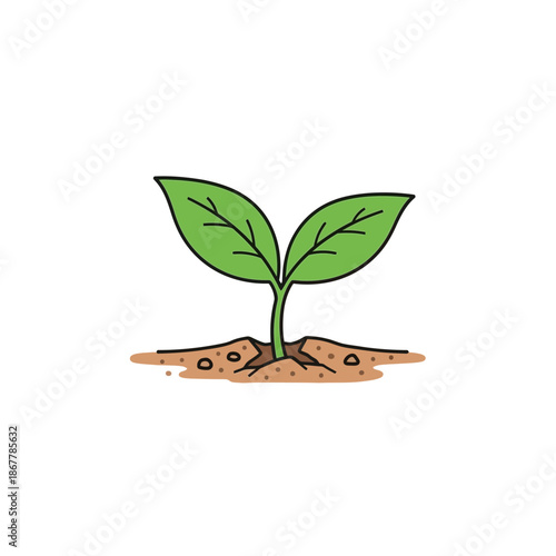 Young Green Plant Growing in Soil.