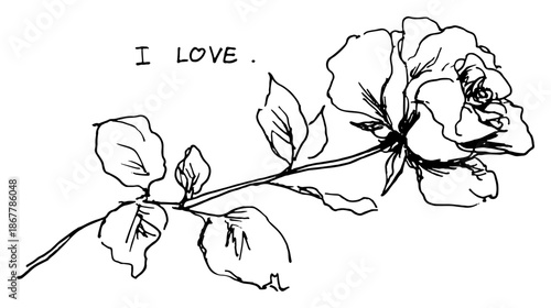 Sketch of a blooming rose branch with leaves and i love text
