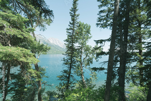 Φωτογραφία Crystal clear Jenny Lake with the Grand Teton Mountain Range in the background, as seen from within and behind a pine tree forest on a clear sunny day