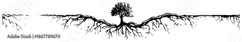 Solitary tree with extensive underground root system cross section