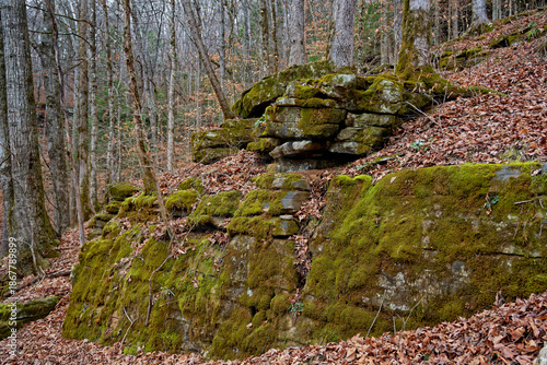 Large boulder wall in the forest