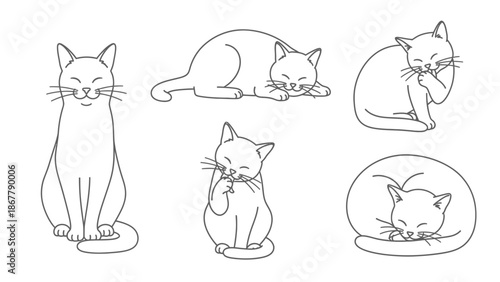 A cute set of funny cartoon cats and dogs featuring a black kitten and domestic feline characters in a vector illustration style with pet icons and a tiny mouse