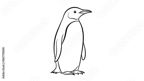 Cute cartoon penguin vector illustration of an isolated arctic bird on a white background with winter snow and ice elements for nature wildlife designs