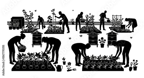 People Gardening Silhouettes Working Together.