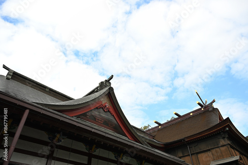 見上げる鹿児島神宮