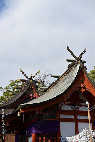 鹿児島神宮の新年