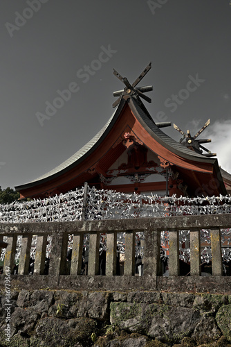 おみくじが飾られる鹿児島神宮