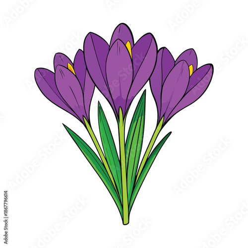Bright purple crocuses bloom in a fresh spring meadow, their delicate petals glowing in sunlight, bringing color, hope, and gentle beauty to the awakening landscape.
