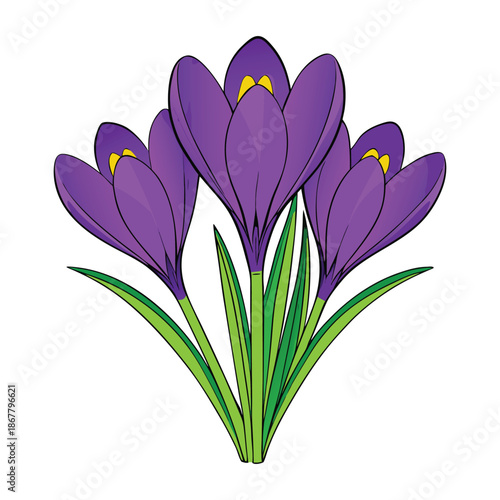 Bright purple crocuses bloom in a fresh spring meadow, their delicate petals glowing in sunlight, bringing color, hope, and gentle beauty to the awakening landscape.
