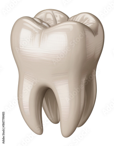 Professional 3D Tooth Model for Medical and Dental Purposes