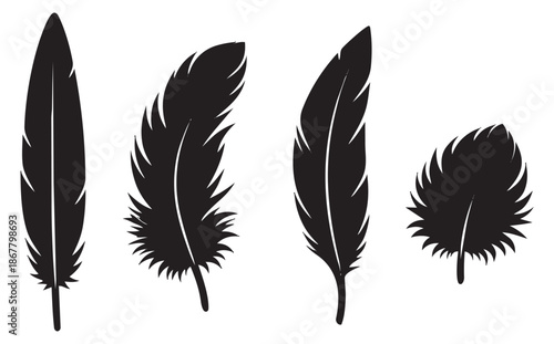 Silhouette feather set featuring various natural bird shapes for design and decoration