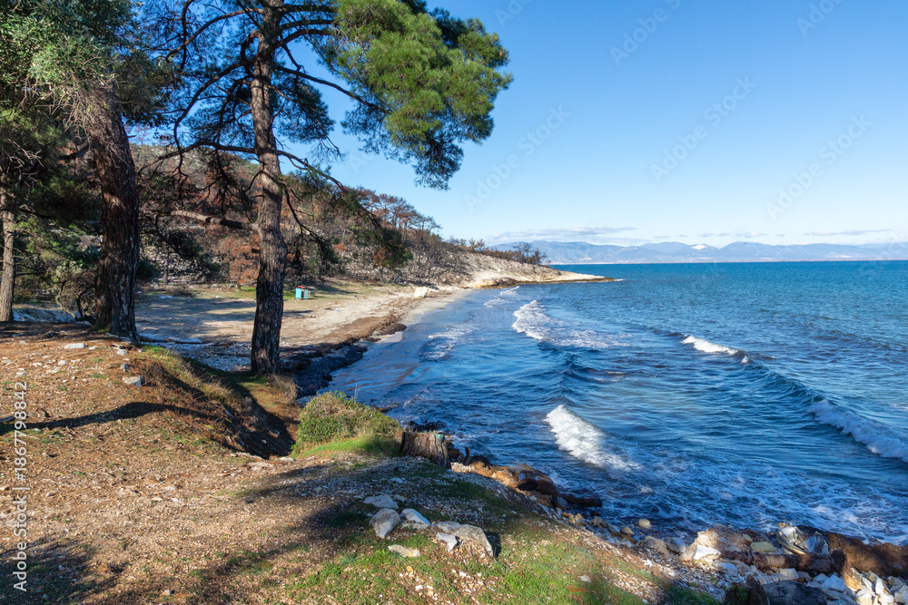 Fototapeta premium Landscape of coastline of Thassos island, Greece
