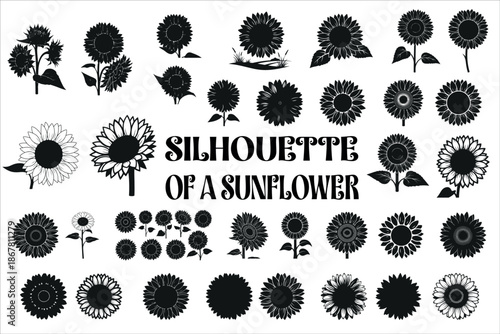 Elegant black silhouette of a sunflower with clean lines and bold shape