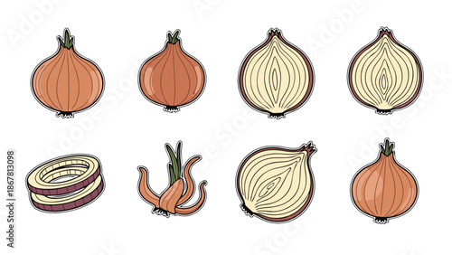 Collection of stylized onions, whole, halved, and sliced, on a white background