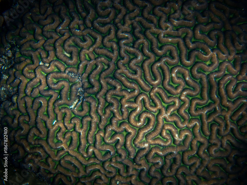 green abstract background