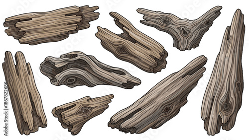 A collection of wooden driftwood pieces on a plain