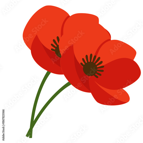 beautiful red poppy flower nature plant flat color vector illustration template design