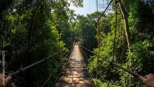 Suspension bridge in lush green forest.