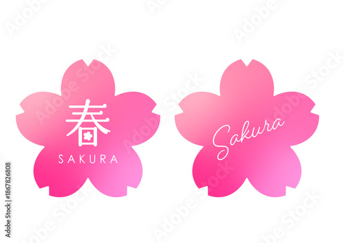 春のタイトルフレーム　満開の桜　SNSアイキャッチ　　ロゴマークイラスト　日本観光　白背景