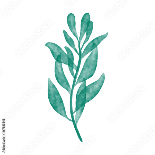 Watercolor Mint Green Eucalyptus Branch Illustration