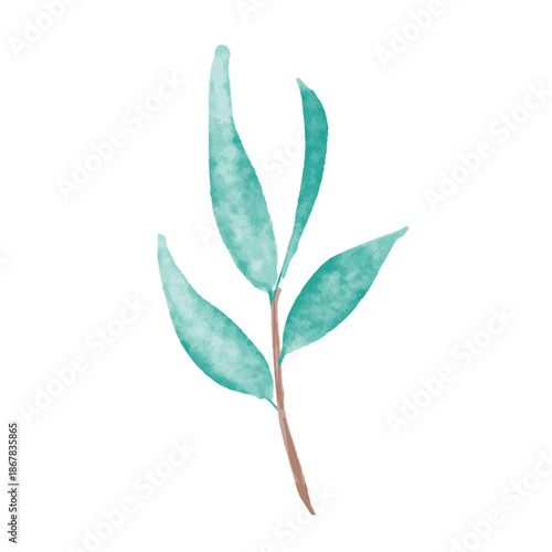 Watercolor Mint Eucalyptus Leaf Branch Illustration