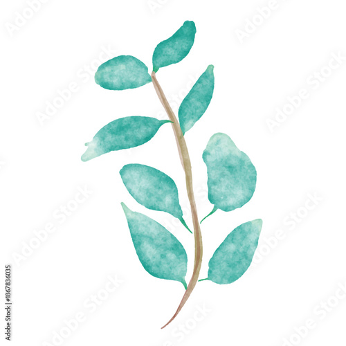 Watercolor Mint Green Leaves Branch Illustration