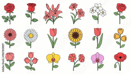 Collection of Various Colorful Flowers Isolated on White Background.