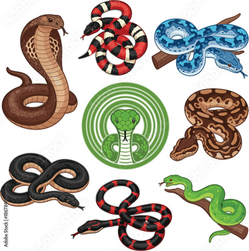Colorful snake illustration set featuring cobras, vipers, and pythons in cartoon and realistic styles, ideal for wildlife, education, and mascot designs