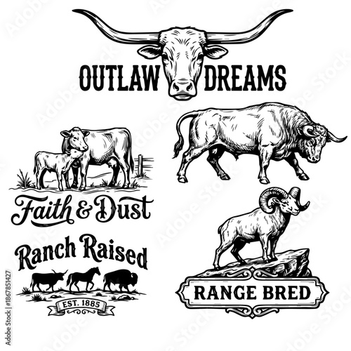 LOGO RANCH PACK