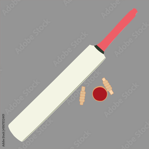 cricket equipment isolated on grey background