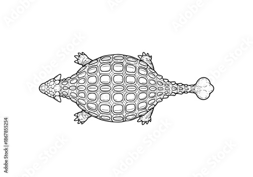 Ankylosaurus hand drawn simple sketch vector illustration