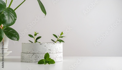 Minimalist product with small green plant detail