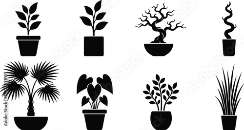 Indoor Potted Plants Silhouette Vector Set Featuring Houseplants, Bonsai and Decorative Foliage Icons for Home, Office and Interior Design