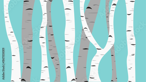 자작나무(식물+숲+자연+예술+풍경)