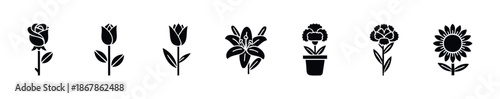 Collection of various flower icons including rose, tulip, lily, carnation, and sunflower, offering versatile graphic elements for botanical themes, spring designs, and nature projects.