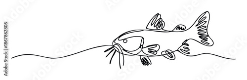 Continuous line drawing of a catfish swimming in water, perfect for minimalist aquatic life themes in modern packaging, branding, and graphic presentations