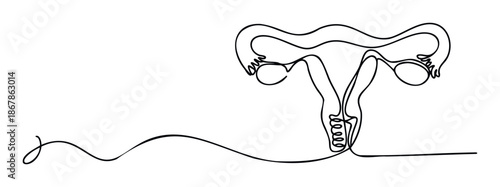 Minimalist continuous line drawing depicting the female reproductive system with a flowing abstract line, ideal for healthcare posters, educational materials, or womens health awareness