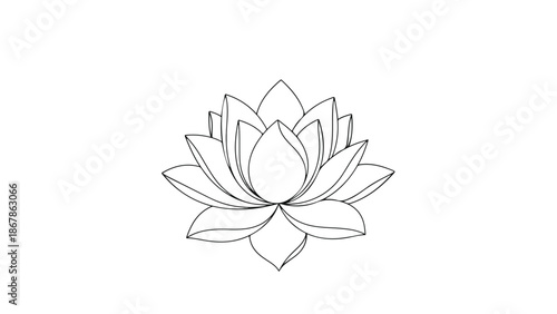 Minimalist continuous line art vector lotus flower illustration isolated on white background