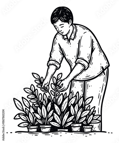 An Asian person is diligently tending to a collection of thriving potted plants, perfect for educational content on gardening, plant propagation, or sustainable urban agriculture