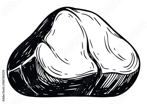 Detailed black and white engraving of a single hazelnut showcasing its natural texture, perfect for food packaging, recipe books, or healthy snack promotions.