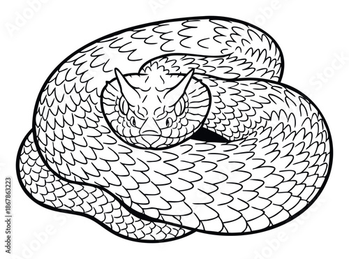A dangerous snake coiled up with visible scales and two prominent horns on its head, suitable for various graphic applications or animal kingdom themed projects